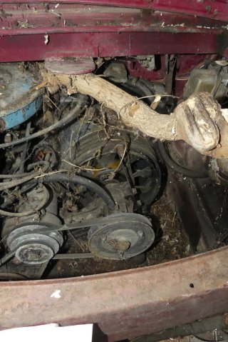 SEAT 850 Motor