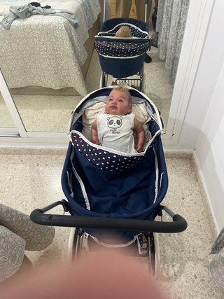 Muñeco Reborn Antonio con carrito