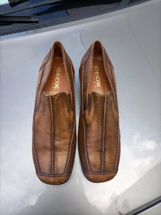 Zapatos Geox Marrones