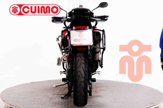 TRIUMPH TIGER 900 GT PRO