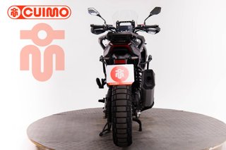MORBIDELLI T1002 VX