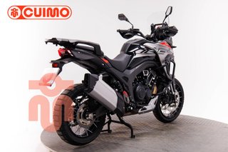 MORBIDELLI T1002 VX
