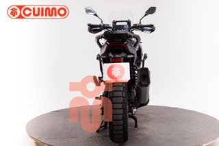 MORBIDELLI T1002 VX