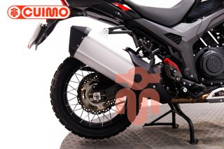 MORBIDELLI T1002 VX