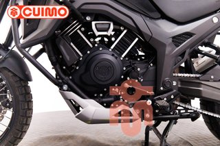 MORBIDELLI T1002 VX