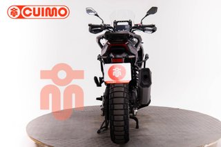 MORBIDELLI T1002 VX