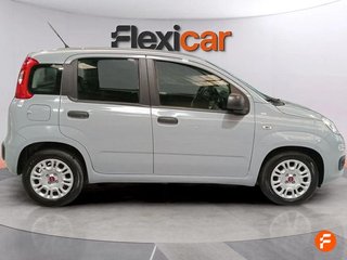 Fiat Panda Panda Hybrid 1.0 Gse 51kw (70CV)