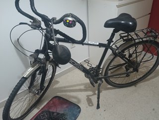 Bicicleta de adulto