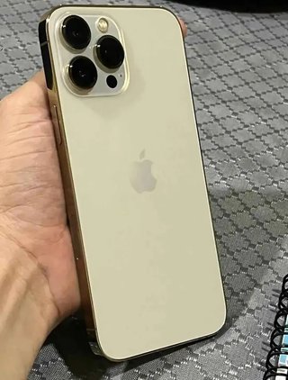 iPhone 13 Pro Max Dorado 256GB