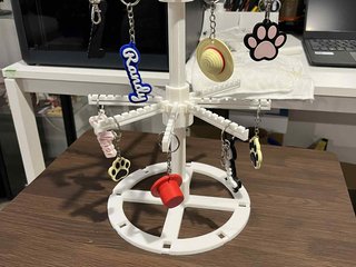 Supporto espositivo per accessori