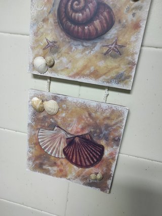 Cuadro decorativo marinero con conchas