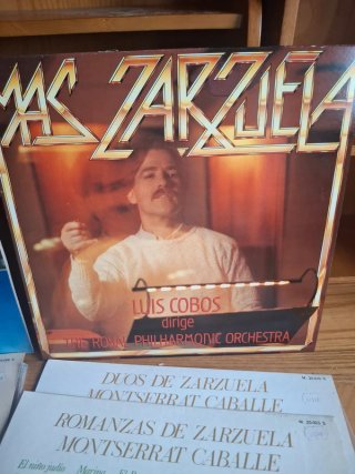 Discos vinilos Lp varios