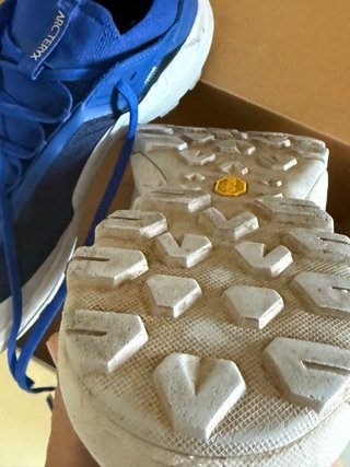 Zapatillas Arc'teryx Vertex Alpine Azul/Blanco