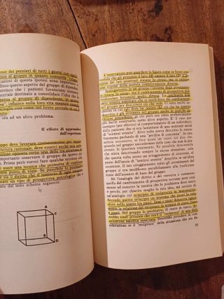 Wilfred R. Bion "Esperienze nei gruppi"