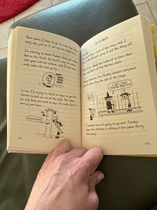 Diary of a Wimpy Kid Greg Heffley's Journal