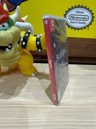 Blue Fire Nintendo Switch