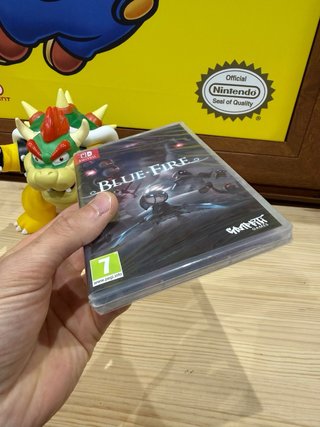 Blue Fire Nintendo Switch