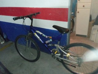 Bicicleta Wheelworx