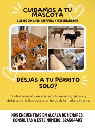Cuidado de tu mascota
