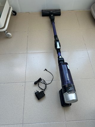 Aspirador Rowenta Flex