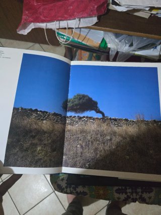 Vendo bellissimo libro sulla Sardegna  a colori