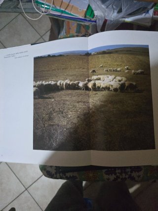 Vendo bellissimo libro sulla Sardegna  a colori