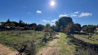 Terreno en venta en Bollullos de la Mitación