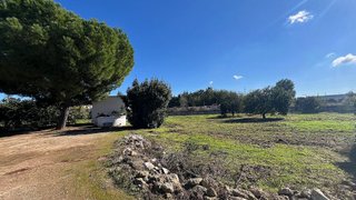Terreno en venta en Bollullos de la Mitación