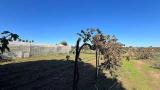 Terreno en venta en Bollullos de la Mitación