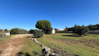 Terreno en venta en Bollullos de la Mitación