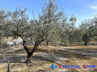 Terreno en venta en Caudete