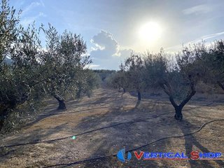 Terreno en venta en Caudete