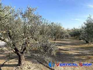Terreno en venta en Caudete