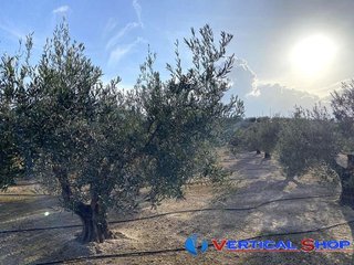 Terreno en venta en Caudete