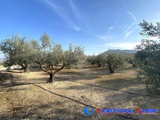 Terreno en venta en Caudete