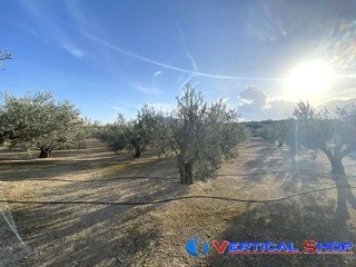 Terreno en venta en Caudete