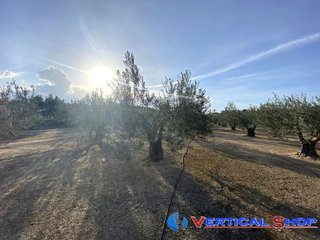 Terreno en venta en Caudete