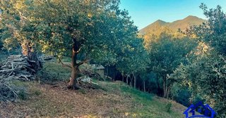 Terreno en venta en Arenys de Munt