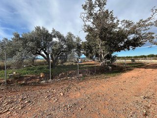 Terreno en venta en Avda. Alemania - Italia en Villarreal