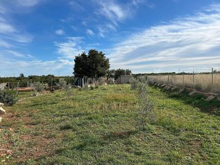 Terreno en venta en Avda. Alemania - Italia en Villarreal