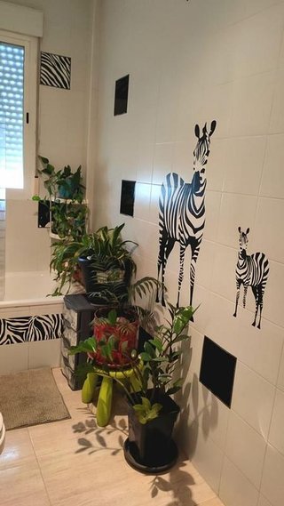 Piso en venta en Plasencia