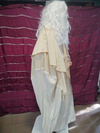 Disfraz Gandalf ( Señor de los anillos)
