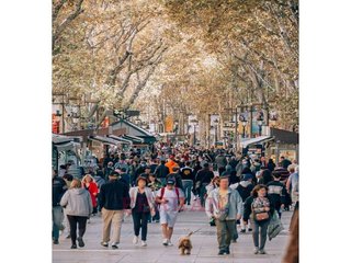 Local comercial en alquiler en El Gòtic en Barcelona