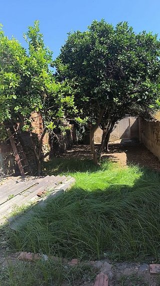 Terreno en venta en Pinemar-Can Cornet en Pineda de Mar