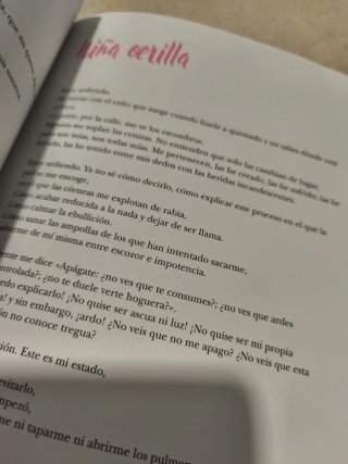 Indomable: Diario de Una Chica En Llamas