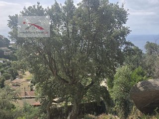 Solar en venta en Roca Grossa - Serra Brava en Lloret de Mar