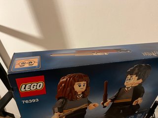 LEGO 76393 Harry Potter & Hermione Granger