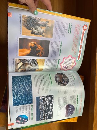 Enciclopedia infantil