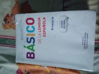 Diccionario