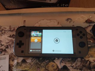 Nintendo Switch Lite Gris Pokémon